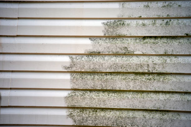  Hayward, WI Siding Installation Pros