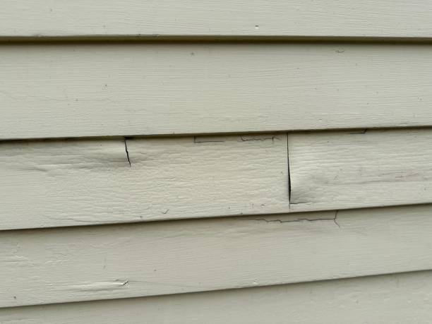 Best Siding for New Construction  in Hayward, WI